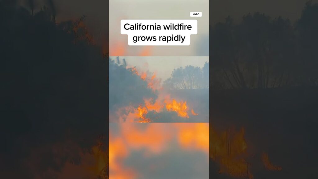 California wildfire grows rapidly