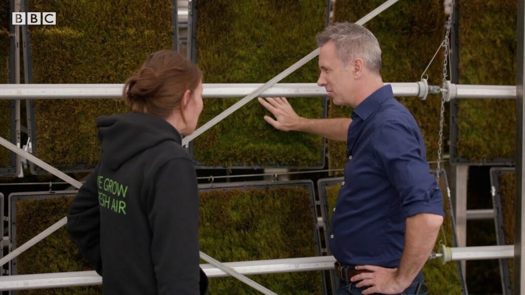 How walls of moss could help reduce urban air pollution – BBC News