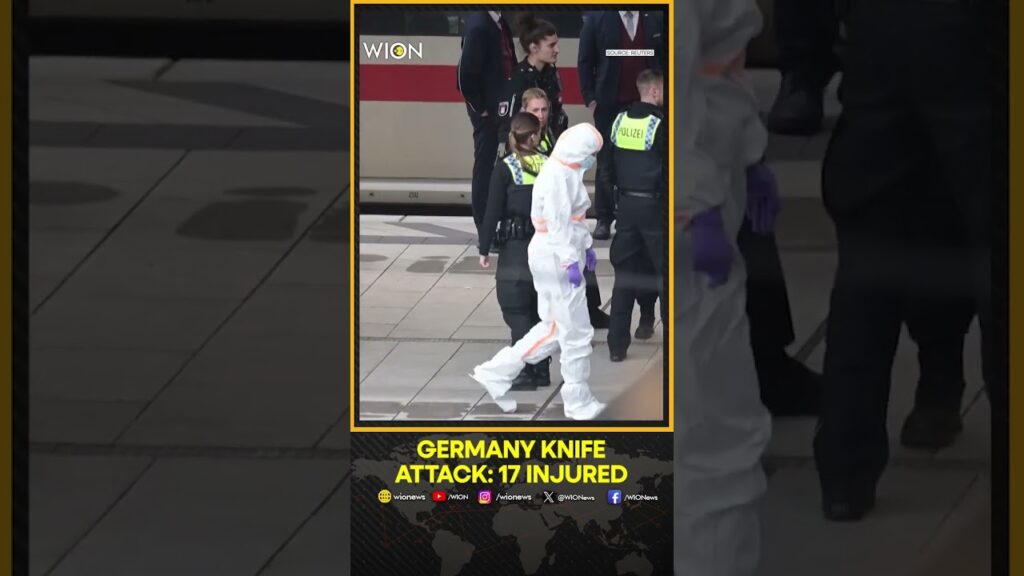 Germany: Stabbing At Hamburg Station Leaves 17 Injured; Tracks Closed, Train Delayed