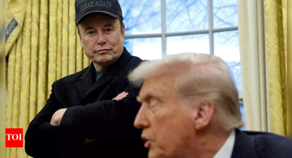 Elon Musk responds to Laura Loomer’s criticism amid Donald Trump spat: ‘He will be around for … ‘