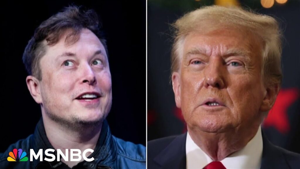 Rep. Jasmine Crockett says hopefully it’s ‘cutting season’ for Trump-Musk