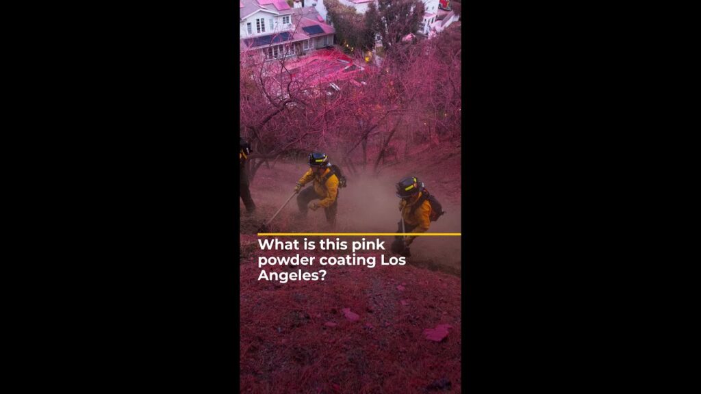 What is this pink powder coating Los Angeles? | AJ#shorts