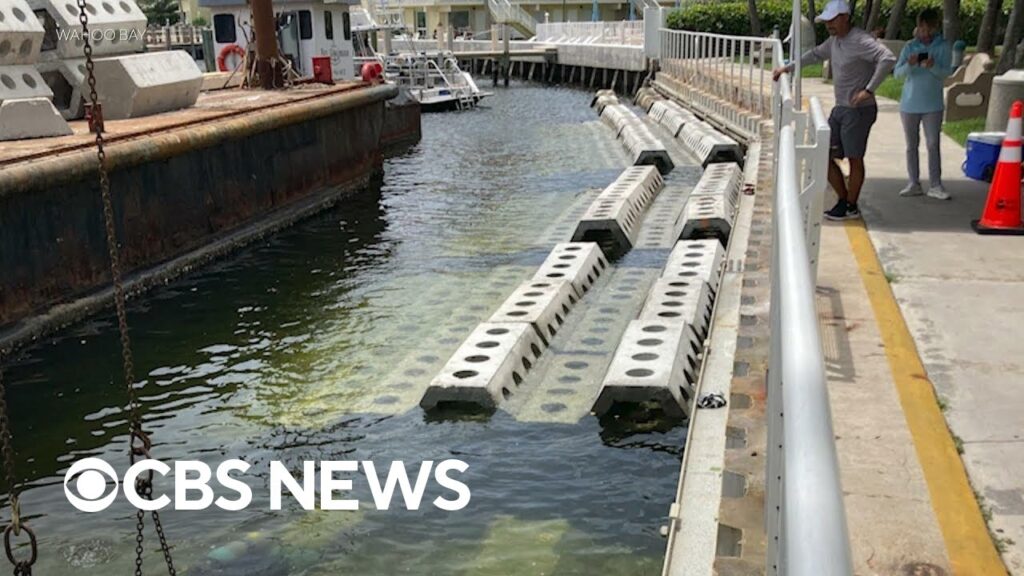 How communities are reinforcing coastlines against storms