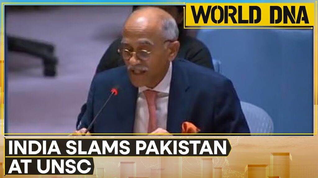 India Calls Out Pakistan For Sheltering Terrorists, Finds Support From Germany | Operation Sindoor