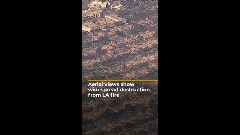 Aerial views show widespread destruction from LA fire | AJ #shorts