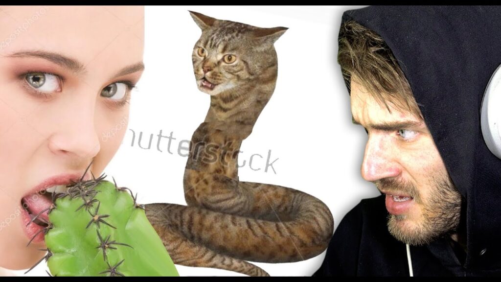 Stock Images needs to be Stopped! /r/wtfstockimage reddit top all  #56 [REDDIT REVIEW]