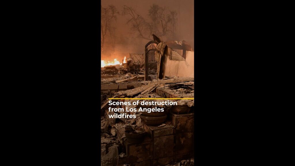 Scenes of destruction from Los Angeles wildfires | AJ#shorts