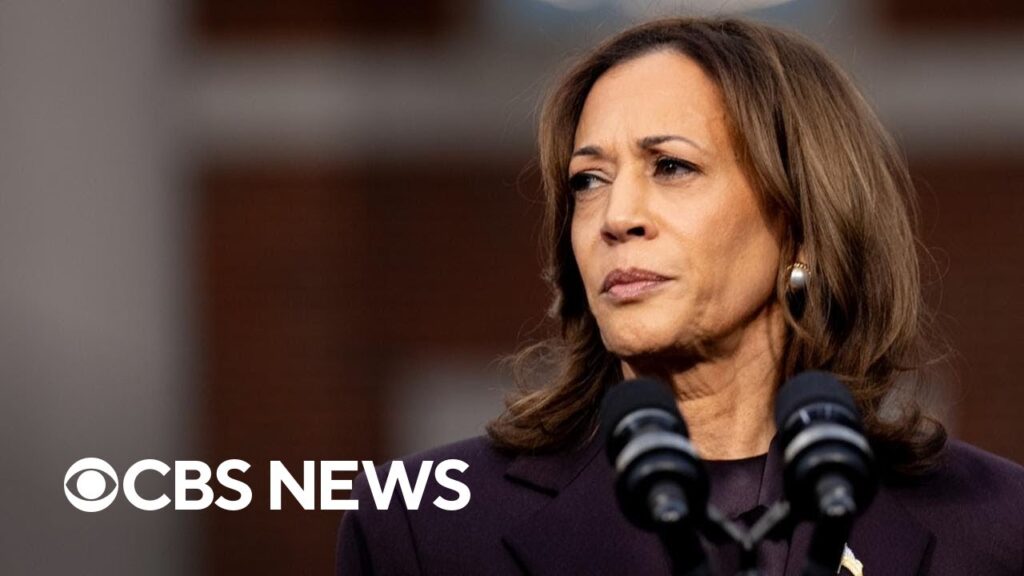 Democratic strategist on the party’s economic message