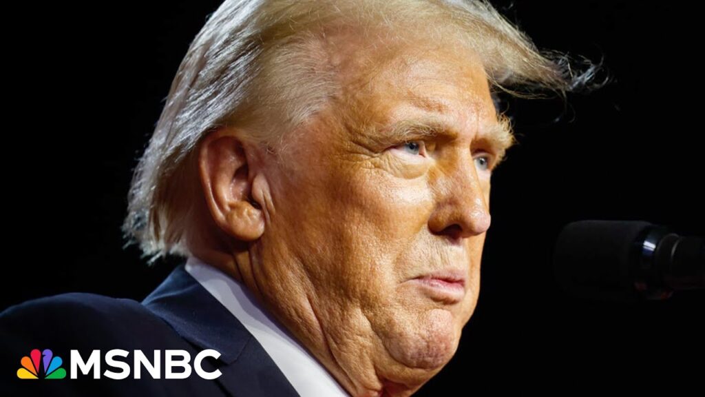 ‘Shock & awe’ campaign: What Trump’s plans are for Day 1
