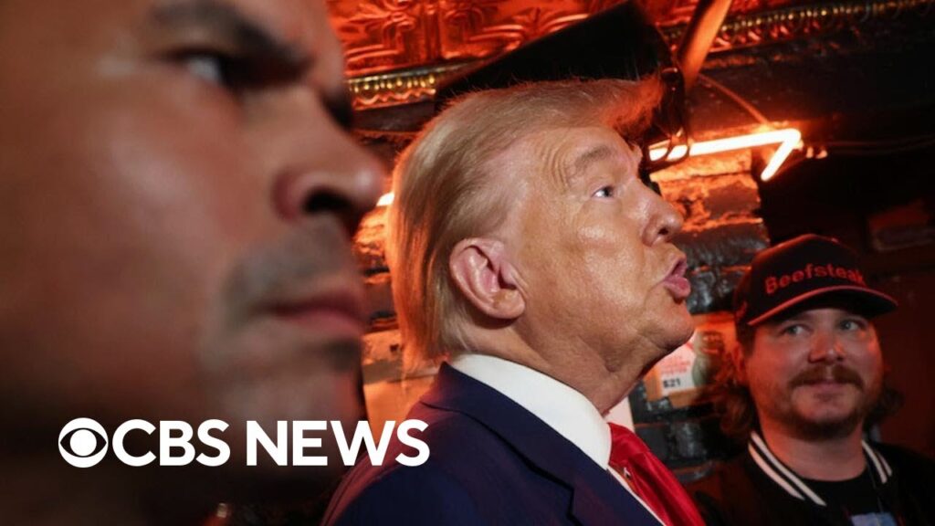 Key issues that influenced the 2024 presidential election results