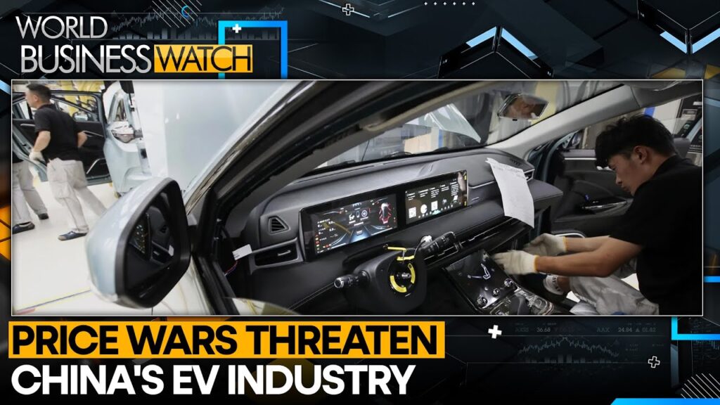 Analysts Warn Of ‘Bloodbath’ In China’s EV Industry | WION World Business Watch