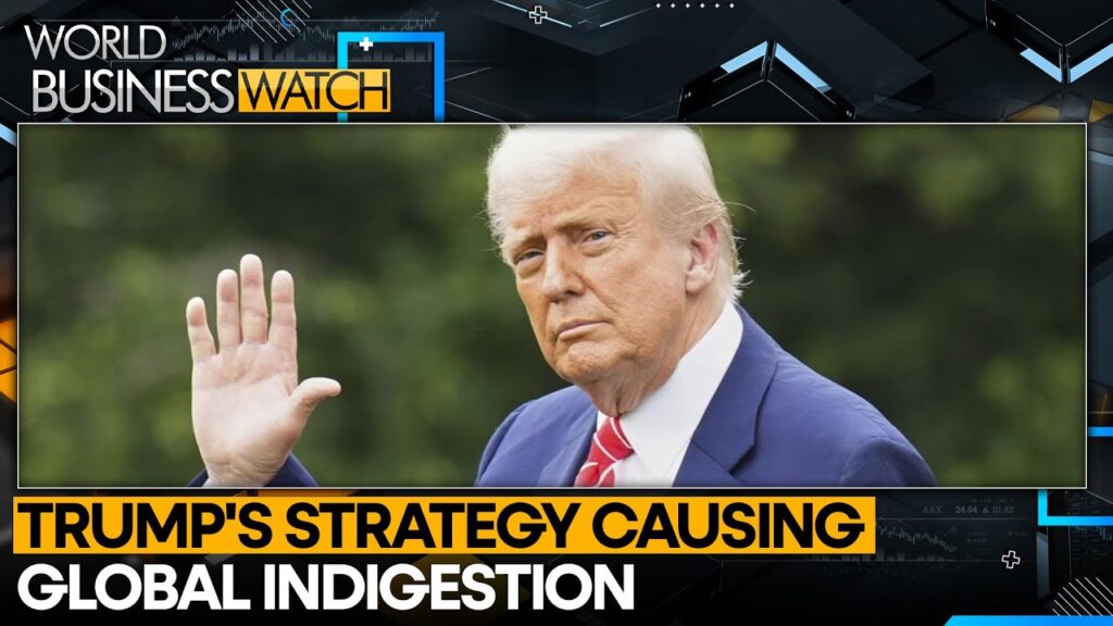 Trump Tariff: Wall Street Bets’ Trump Always Chickens Out’ On Auto Tariffs | World Business Watch