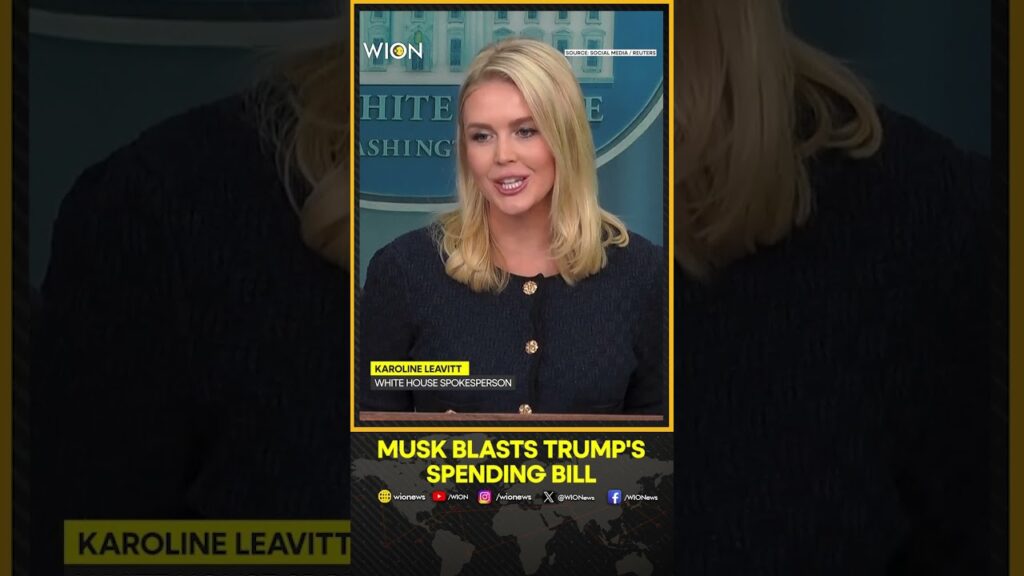 Elon Musk Blasts Trump’s Spending Bill ‘Disgusting Abomination’ | WION Shorts