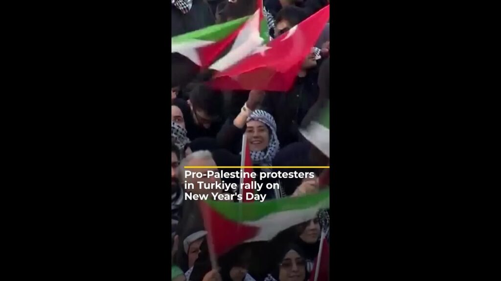 Pro-Palestine protesters in Turkiye rally on New Year’s Day | AJ #shorts