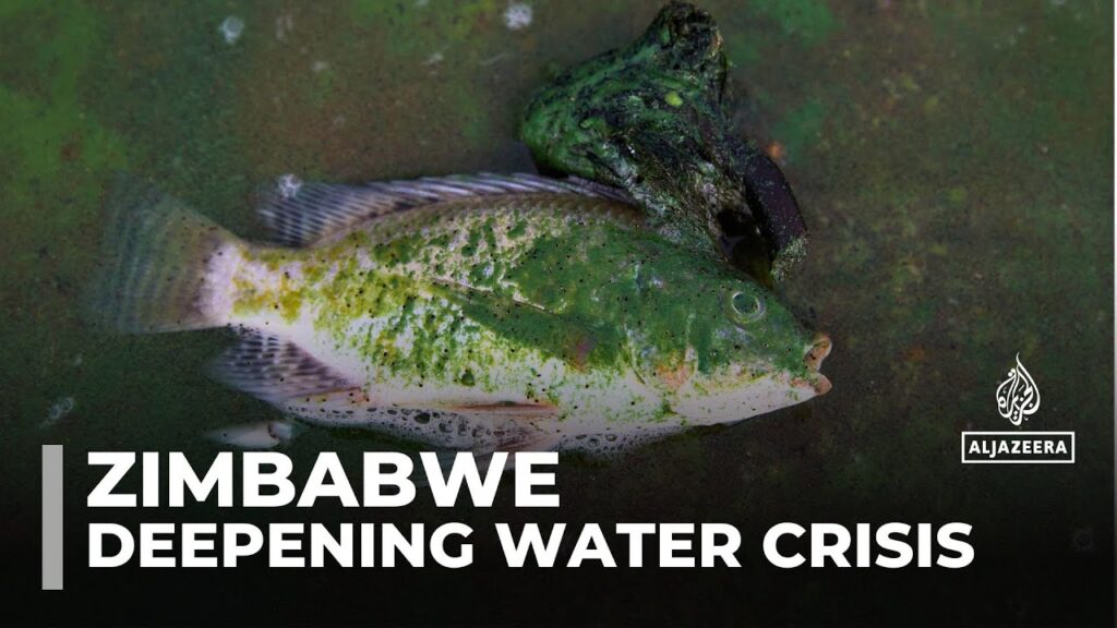 Pollution in Lake Chivero worsens Zimbabwe’s water crisis