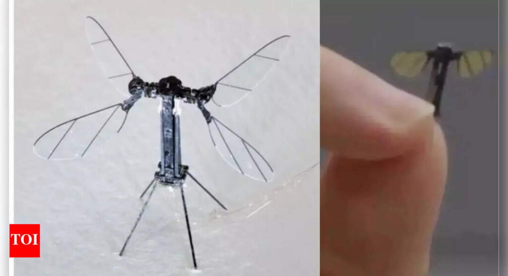 What is China’s mosquito drone? Capable of capturing images, audio & electronic signals – Details