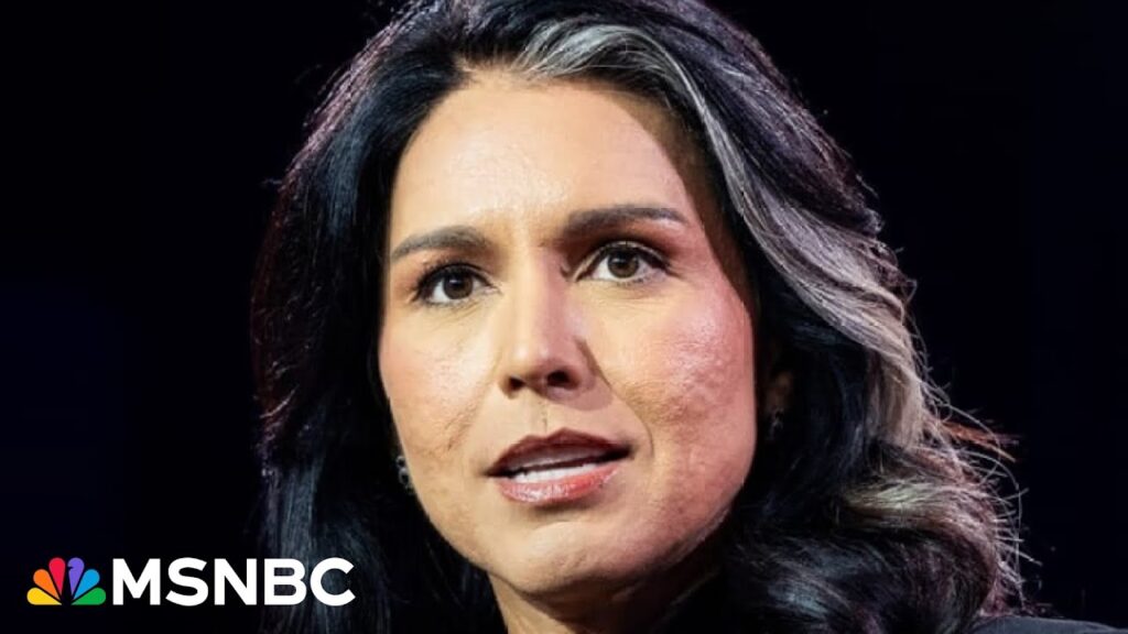 What happened in Syria? Senators ‘don’t trust’ Tulsi Gabbard: Jolly