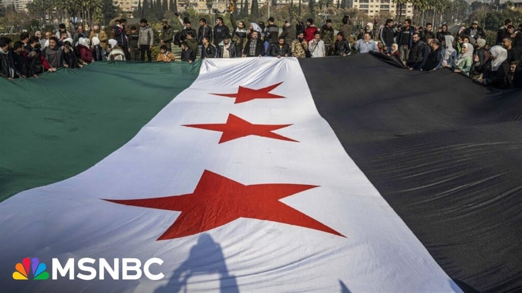 What is next for Syria’s government? U.S. should be ‘cautious’ with involvement