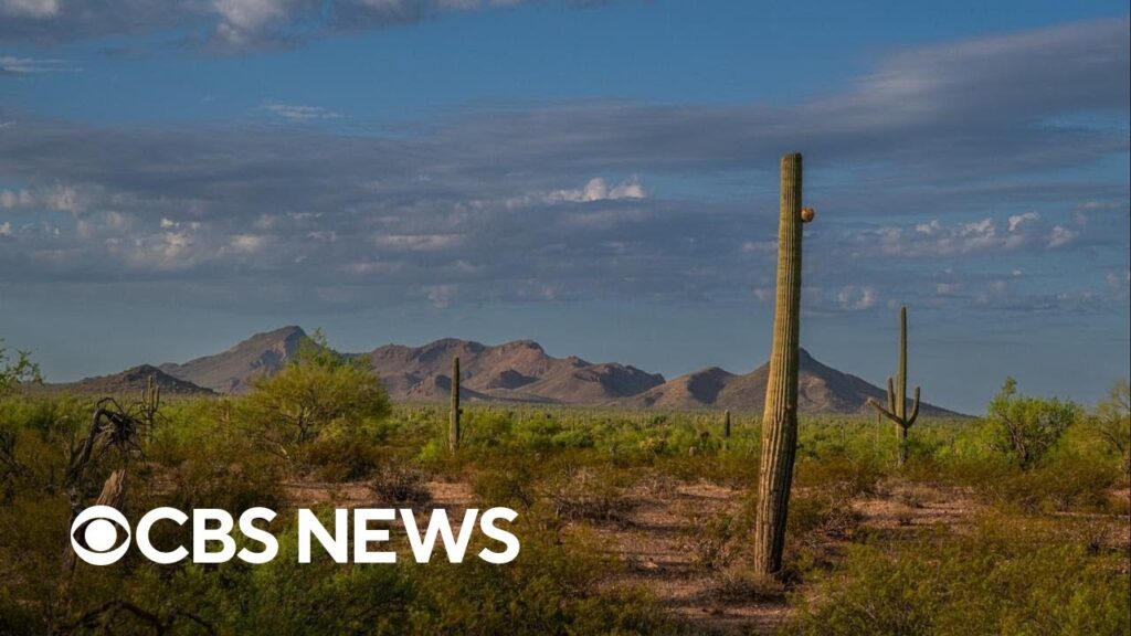 How climate change affects Latino communities and their votes