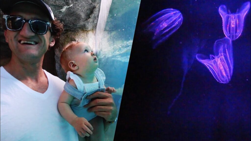 Electric Jelly Fish