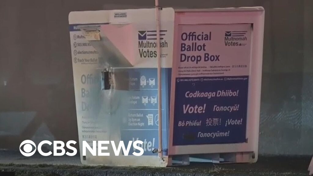 Most ballot box fire voters identified