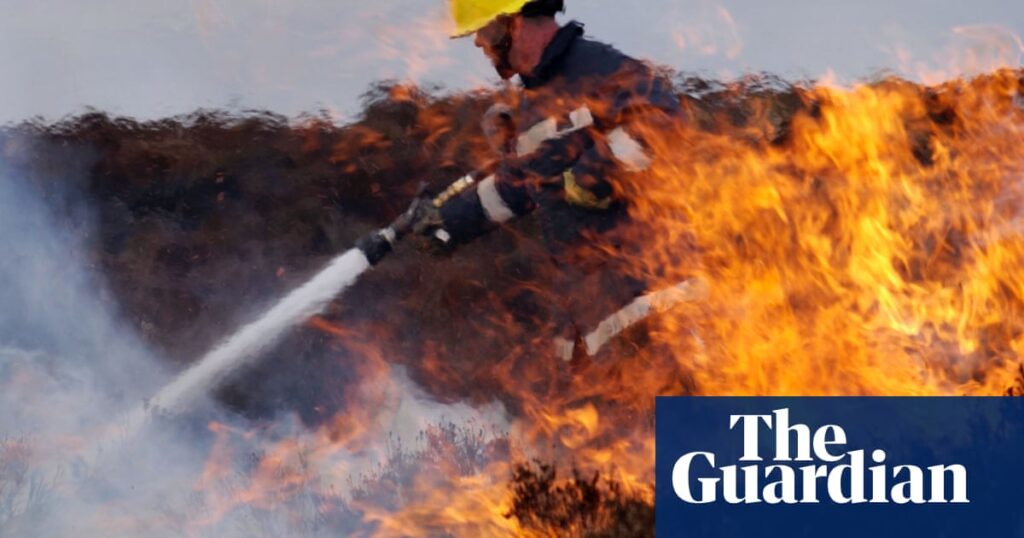 Fire chiefs warn of barbecue wildfire risk amid amber heat alerts in England | Wildfires