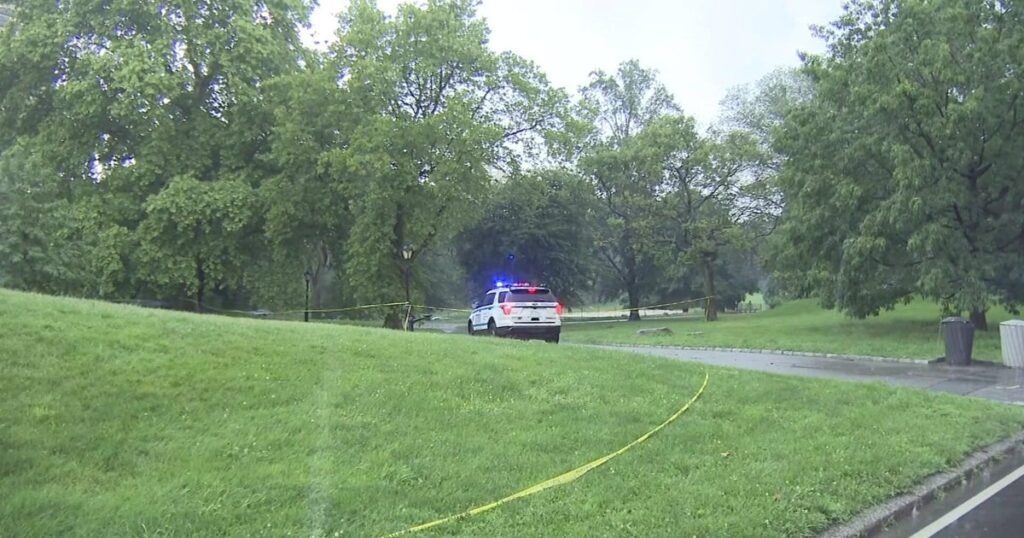 Teen struck by lightning in NYC’s Central Park