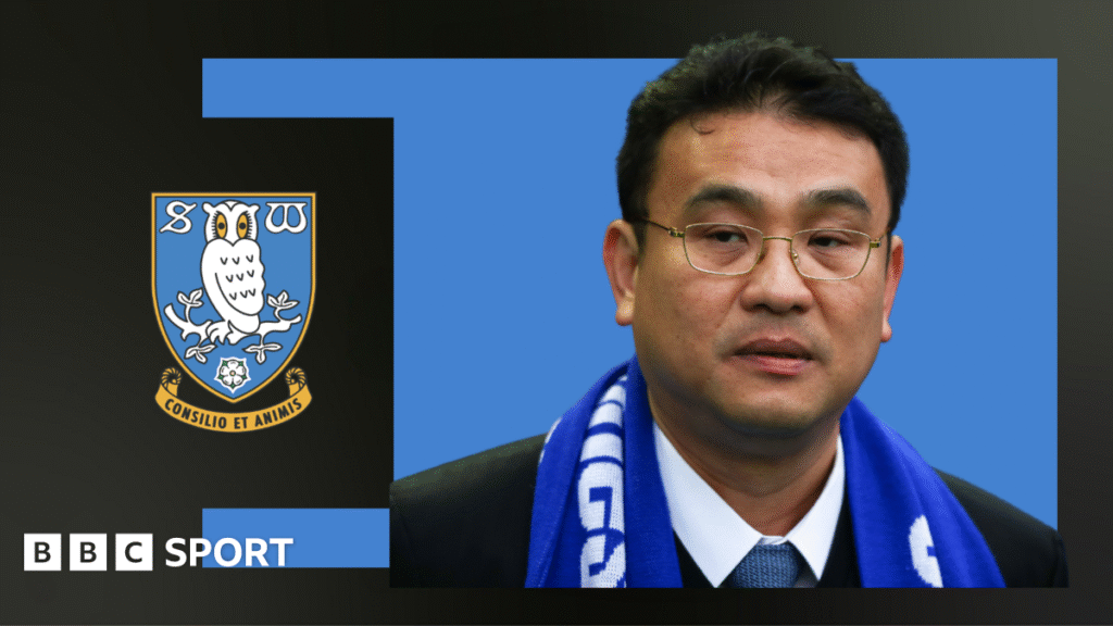 Sheffield Wednesday: Opinion – Owls plight a sad, sorry tale