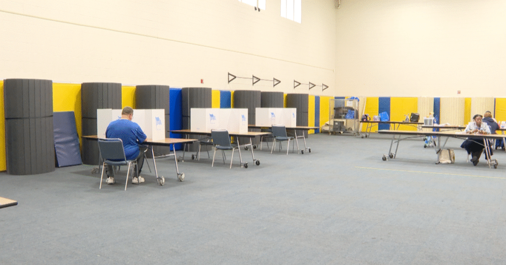 Political analyst shares perspective on Virginia Primary election voter turnout