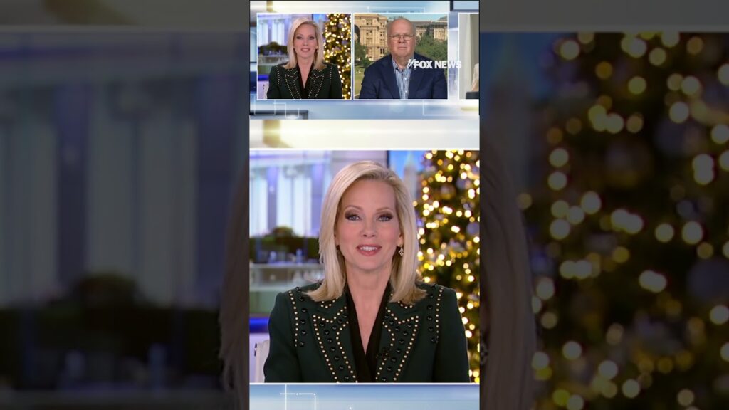 Karl Rove calls out Biden allies who hid president’s mental decline
