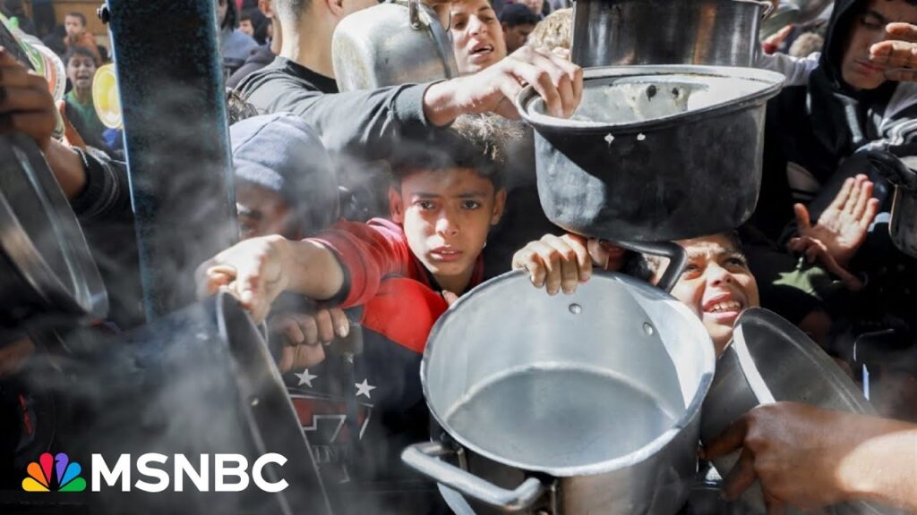 ‘Dire humanitarian emergency’: Gaza ranked one of the most at risk regions for 2025