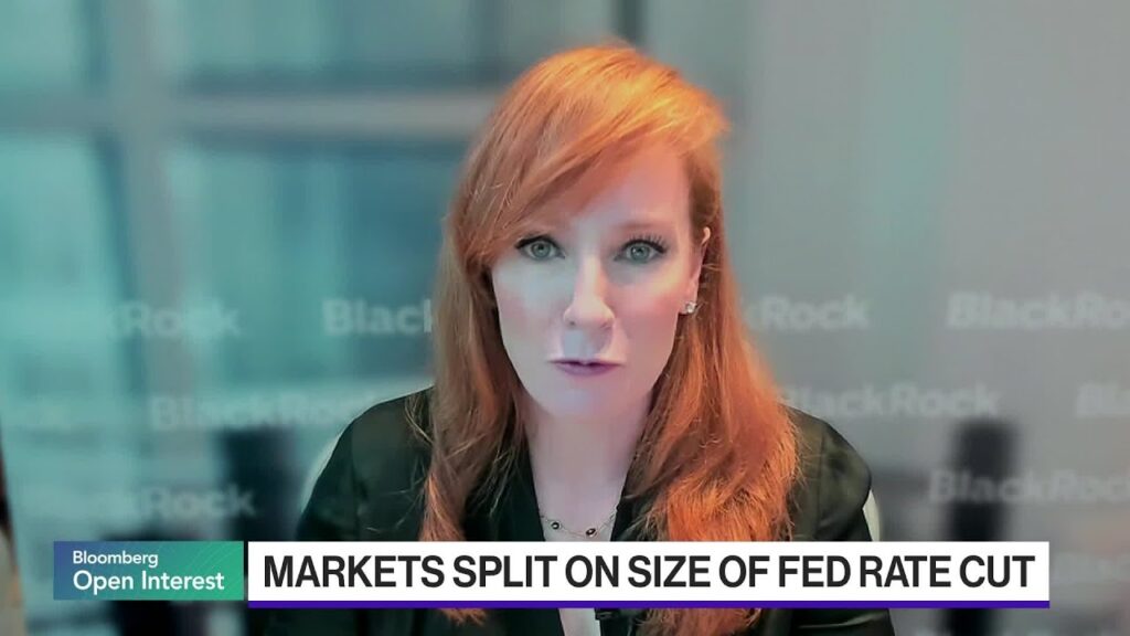 US Economy Not in ‘Danger Zone,’ BlackRock’s Moore Says