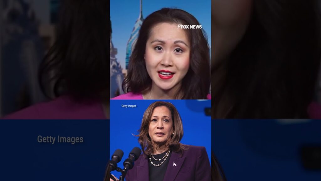 DNC fundraiser rips Harris for “delusions” of a comeback