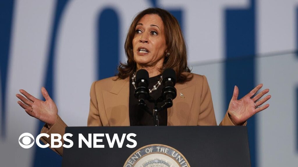 Harris campaign responds to insulting comments at Trump’s Madison Square Garden rally
