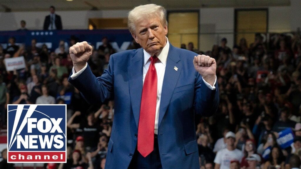 ‘SORE LOSERS’: Dems move to abolish Electoral College after Trump win