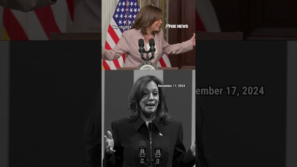 VP Harris laughs at her own word salad in nod to viral ‘coconut tree’ moment