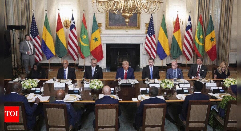‘Such good English’: Trump’s compliment to Liberian President triggers criticism – watch