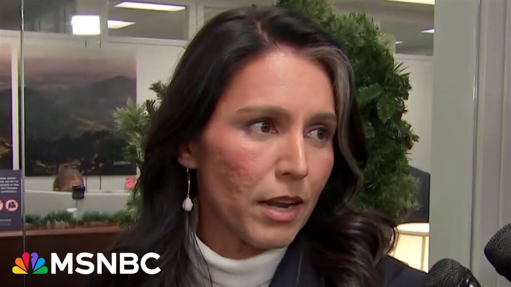 NEW REPORT: Staffers ‘were terrified’ of leaks by Gabbard when investigating war crimes in Syria
