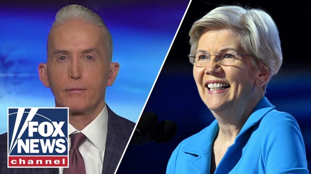 Trey Gowdy blasts Elizabeth Warren for her reaction to murder of UnitedHealthcare CEO