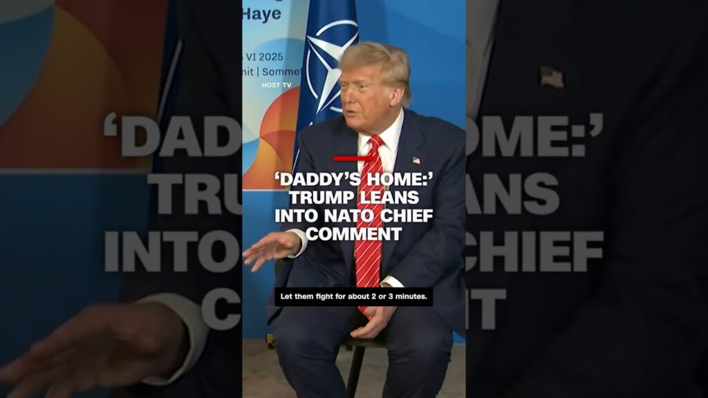 ‘Daddy’s home:’ Trump leans into NATO chief comment