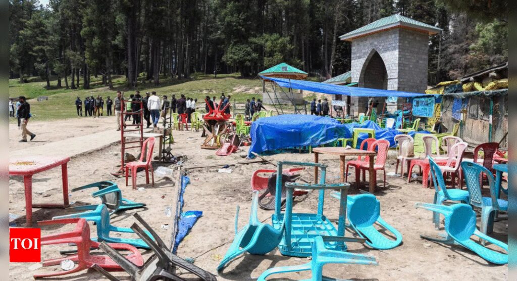 Pahalgam an ISI-LeT conspiracy; only Pak terrorists were engaged to maintain secrecy | India News