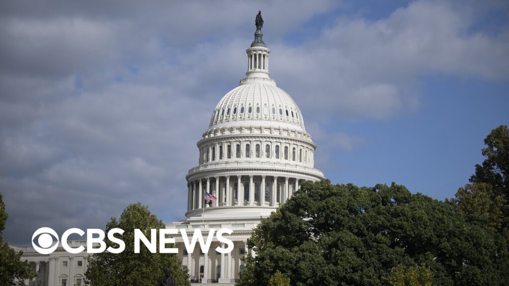 Democrats eye House majority, FBI probing alleged Israel leak, more | America Decides