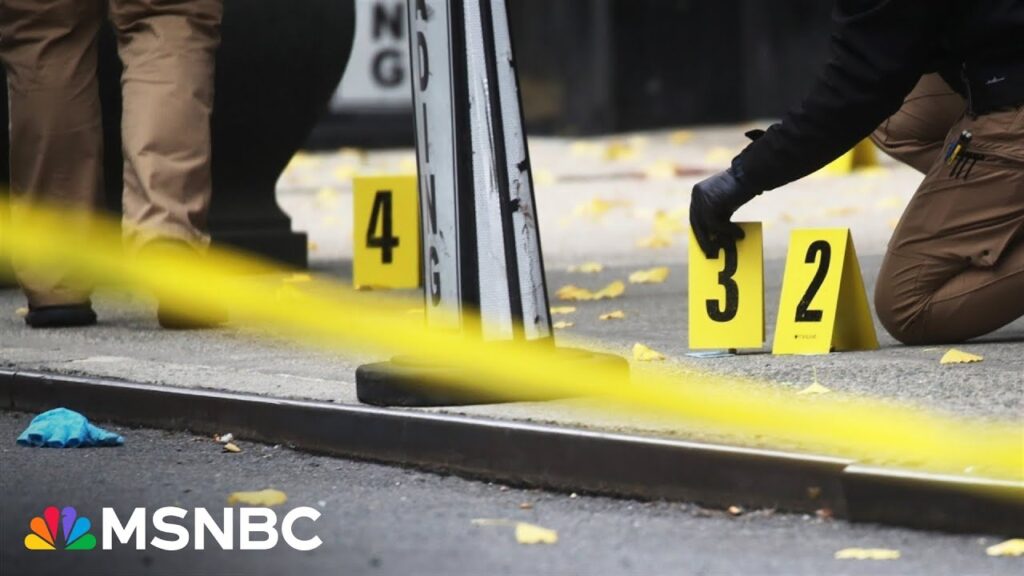 What the online reaction to CEO’s killing reveals about America