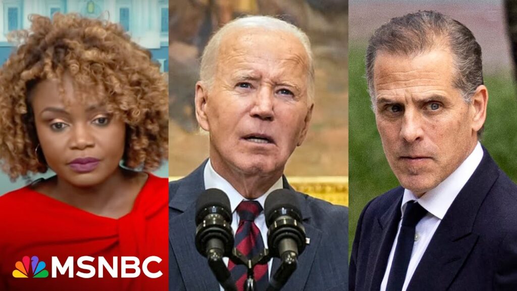 Karine Jean-Pierre pressed on Hunter Biden’s pardon at briefing