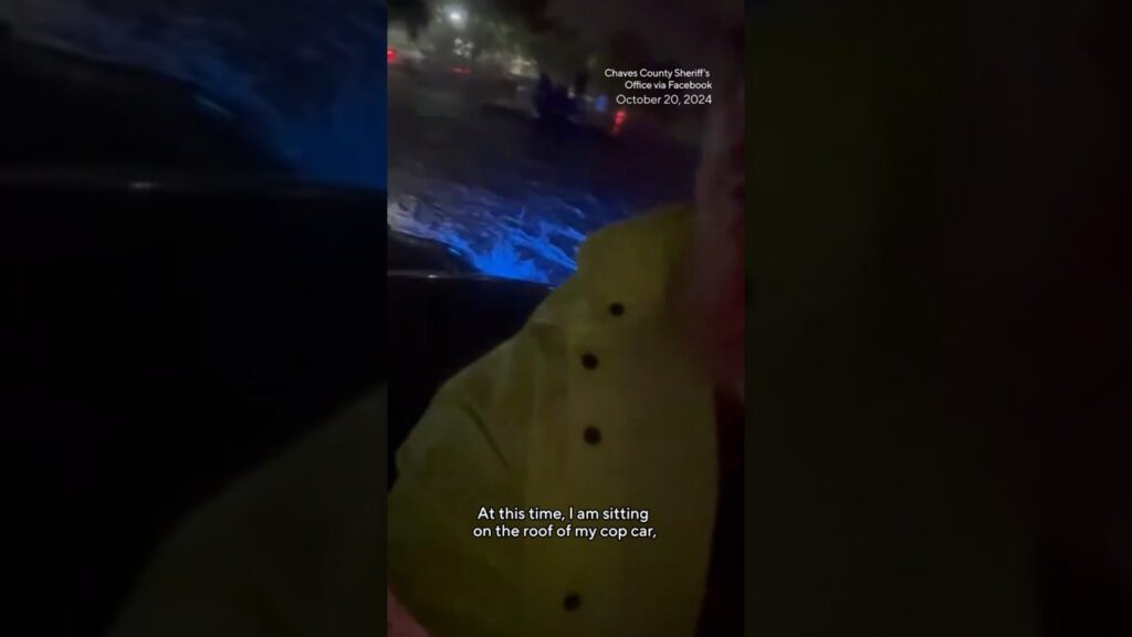 Floodwaters trap New Mexico sheriff on top of police car #shorts