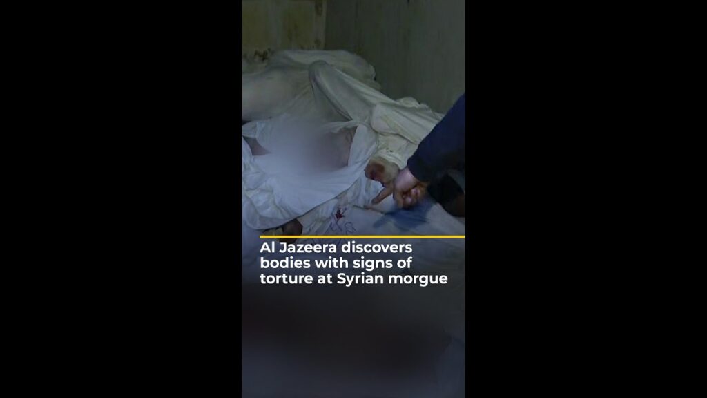 Al Jazeera discovers bodies showing signs of torture in Syrian morgue | AJ#shorts