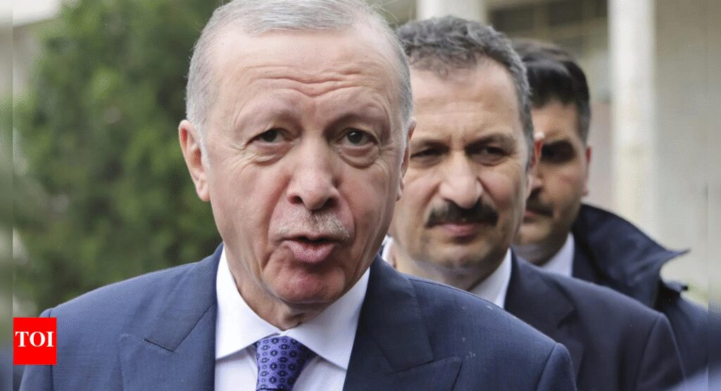 Turkey’s Erdogan insists on Cyprus two-state solution | World News