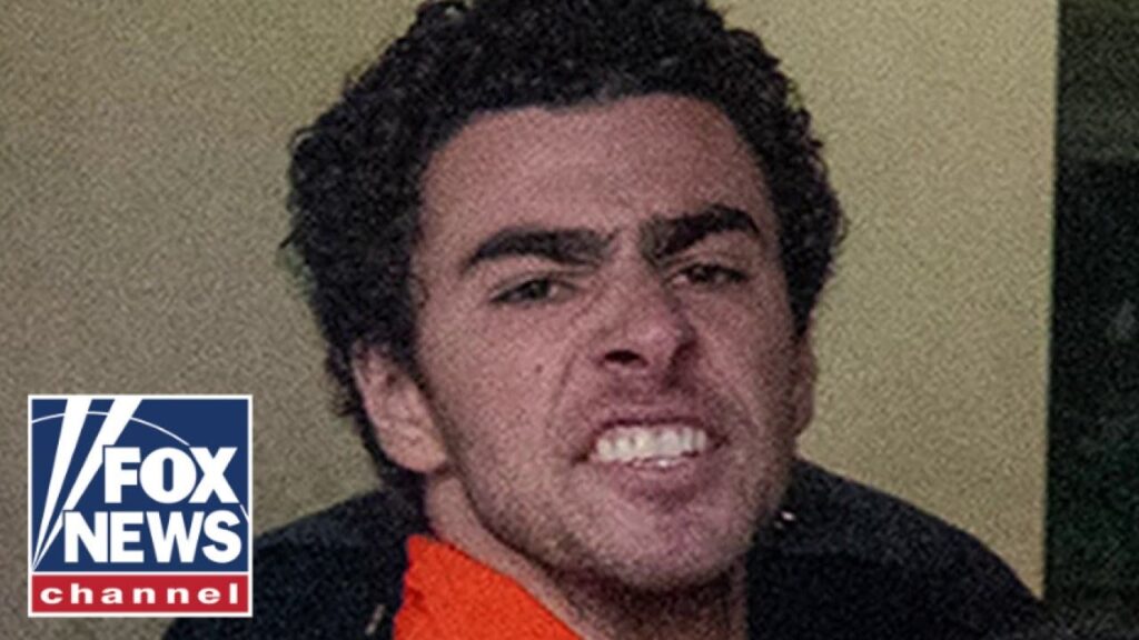 What inspired murder suspect Luigi Mangione’s manifesto?