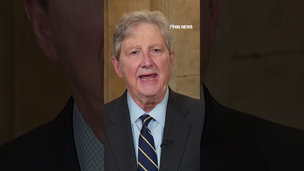 Republican rips ‘moonbeam wing’ Democrat witnesses at hearing on mass deportation