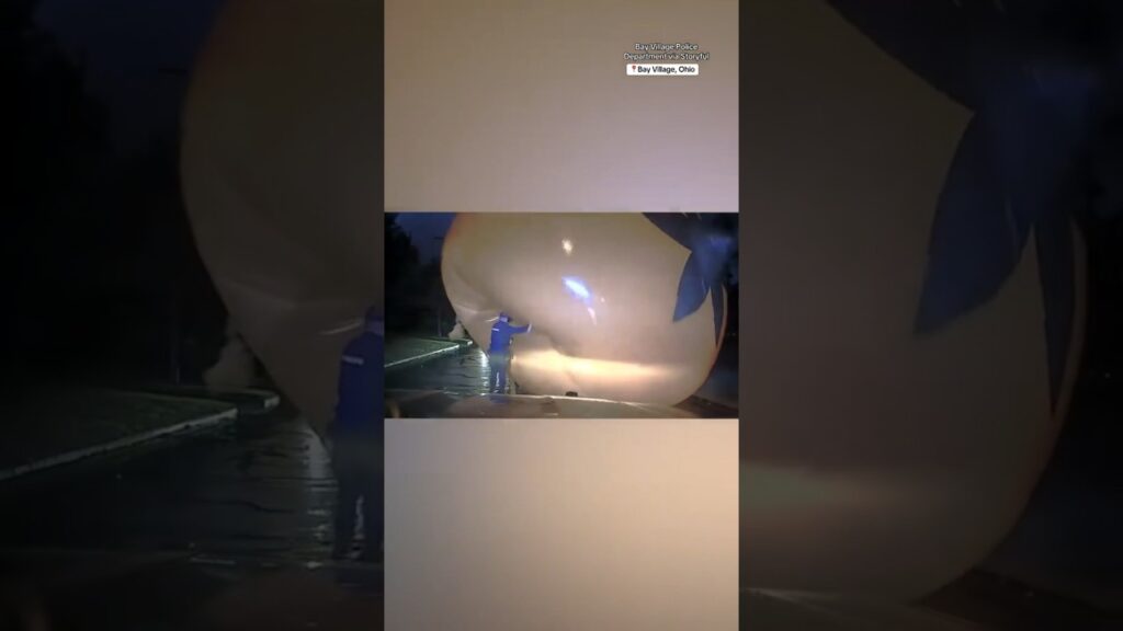 Giant inflatable pumpkin envelops officer #shorts